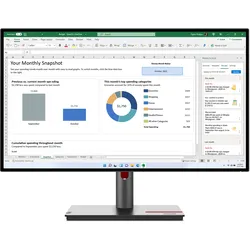 Lenovo ThinkVision P27h-30 - LED-Monitor - 68.6 cm (27")
