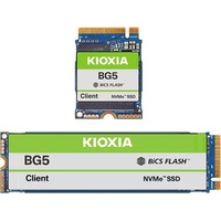 KIOXIA BG5 Client SSD 256GB, M.2 2280