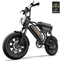 urlife T16 48V 13Ah 16 Zoll RH 0 cm Unisex schwarz