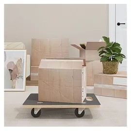 vidaXL Transportroller 2 Stk. Rechteckig 60x40x11,5 Cm 250 Kg Vidaxl