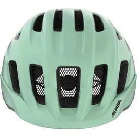 Alpina Paranus 55-59 cm grün matt 2025