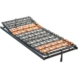 Dieter Knoll Tellerlattenrost, Holz, Buche,Birke, Buche, massiv, 90x200 cm, Austria Gütezeichen, Made in Austria, Tellerauflagen, verstellbar, alternative Größen erhältlich, Schlafzimmer, Lattenroste, Tellerlattenroste