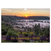 Calvendo Die Lüneburger Heide - In voller Blüte (Wandkalender