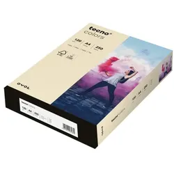 Inapa tecno Farbige Papiere »Rainbow / tecno Colors« braun