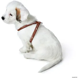 Hunter Hundegeschirr Round & Soft Canadian UP, Cognac, weiches, geschmeidiges Leder, rundgenäht, fellschonend, nachhaltig, Made in Germany, Größe: XS-S