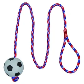 Trixie Fußball am Seil 3307