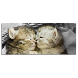 Pixxprint Glasbild Zwei süße Babykatzen im Korb, Zwei süße Babykatzen im Korb (1 St), Glasbild aus Echtglas, inkl. Aufhängungen und Abstandshalter braun|bunt 120 cm x 50 cm