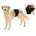 Hundeoverall 74 cm Schwarz