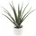 Paperflow meet powered by PAPERFLOW ALOE VERA Kunstpflanze 45,0 cm
