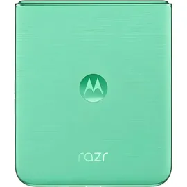Motorola Razr 60 8 GB RAM 256 GB Pantone Spring Bud