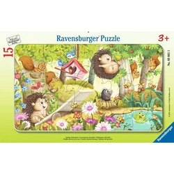 Lustige Gartentiere
