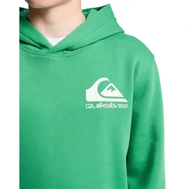 QUIKSILVER Omni Logo Green 14