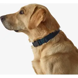 Hundehalsband 100 blau M