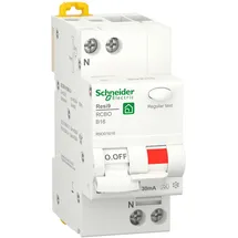 Schneider Electric R9D01616