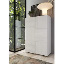 INOSIGN Dama 78 x 116 x 35 cm grau / hochglänzend