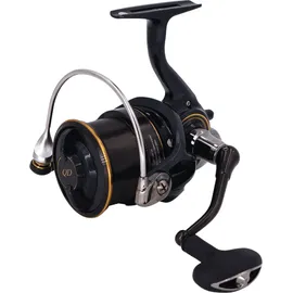 Daiwa 19 Castizm Feeder 25QD