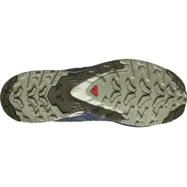 Salomon XA Pro 3D V9 Herren India Ink/Olive Night/Aloe Wash 46 2/3
