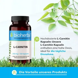 Bioherba L-Carnitin Kapseln 100 Stück