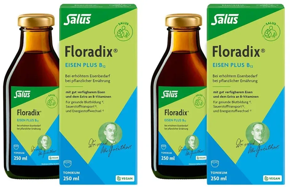 Floradix Eisen Plus B12 vegan Tonikum
