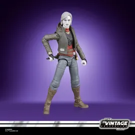 Hasbro Nightsister Merrin Actionfigur 10 cm - Lila/Multicolor