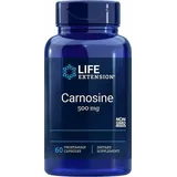 Life Extension Carnosine, 500 mg, 60 vegetarische Kapseln