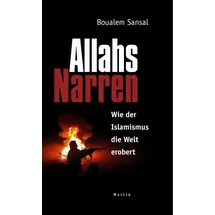 Merlin Allahs Narren: