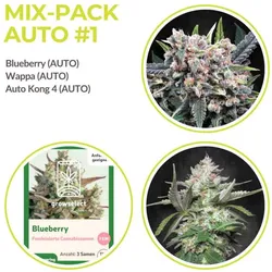 Mix Pack Automatik #1 | 9 Samen