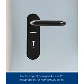 Hörmann ZK-Tür-Element eingehängt Verzinkt 750 mm x 2000 mm x 80 mm DIN Rechts