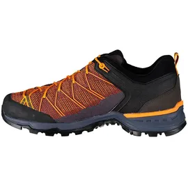 Salewa Mountain Trainer Lite M ombre blue/carrot 46