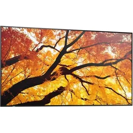 Sharp M862 Digital Signage Display 86"