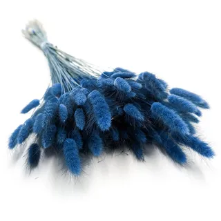 Enchanted Dekogras Getrocknetes Gras Ziergras Hasenschwänze Lagurus Ovatus Samtgras Häschen-Schwanzgras Trockenblumen Natürlich Boho 120 - 150 Stück 100 g Blau