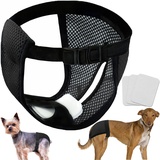 LeerKing 2er Pack Mesh Läufigkeitshose für Hündinnen waschbar Läufigkeitshöschen mit 6 Einlagen weibliche Hunde Läufigkeitshosen Hundewindeln Schwarz 2XL