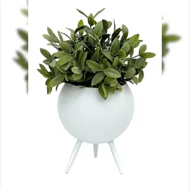 DanDiBo Ambiente Blumenhocker 19 x 19 cm Weiß