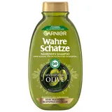 Garnier Wahre Schätze Nährendes Mythische Olive Shampoo 250 ml