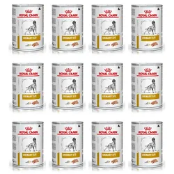 ROYAL CANIN Urinary S/O 48x410g