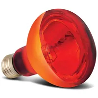 Arcadia Infrarot Wärmelampe E27 150W