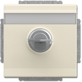 Busch-Jaeger 20 EUKNBSL-82-101