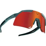 Dynafit Ultra Evo Sportbrille (Größe One Size, blau)
