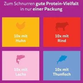Whiskas Gemischte Auswahl in Gelee 40 x 85 g