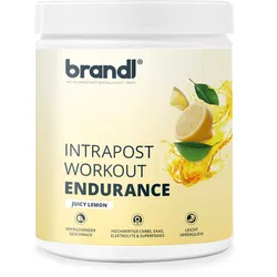 brandl® Ausdauer-Drink Elektrolyte (Mineralien) | Isotonisches Getränk EAAs-Pulver & Superfoods Pulver 600 g