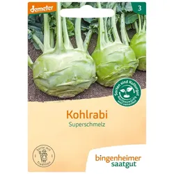 Bingenheimer Saatgut Kohlrabi Weiß Superschmelz