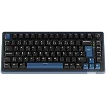 Ducky OK-M-75 KTT Tactile DE