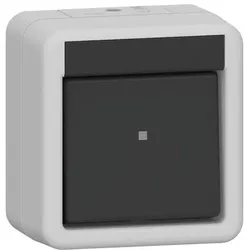 Gira Wippschalter 310730