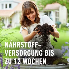 Compo Zimmerpflanzenerde 40 l