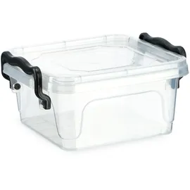 Kadax Aufbewahrungsbox 0,35 l 1-tlg. transparent