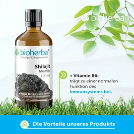 Bioherba Shilajit Mumijo Tropfen Tinktur 50 ml