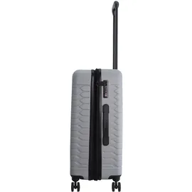 DISCOVERY Koffer REPTILE silber