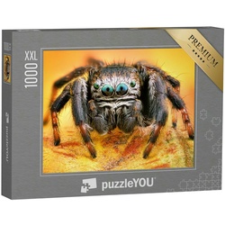 puzzleYOU Puzzle Puzzle 1000 Teile XXL „Makrofotografie: Polnische Springspinne“, 1000 Puzzleteile, puzzleYOU-Kollektionen Spinnen, Insekten & Kleintiere