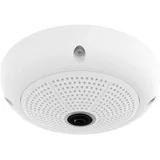Mobotix IP-Dome-Kamera Mx-Q26B-6D016