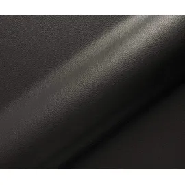DeLife Freischwinger Vinka-Flex mit Armlehnen Echt-Leder Schwarz Freischwinger flach Effektfinish Titan Taschenfederkern,